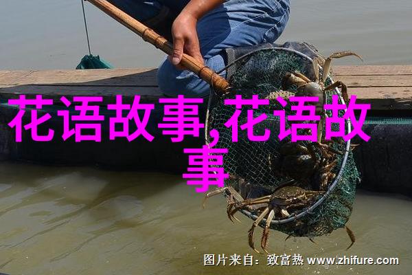 池塘水仙