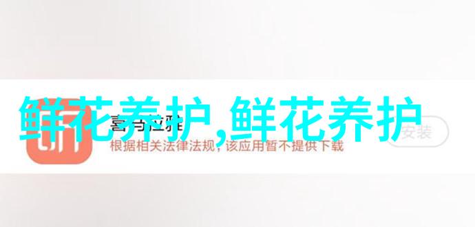 星辰闪烁