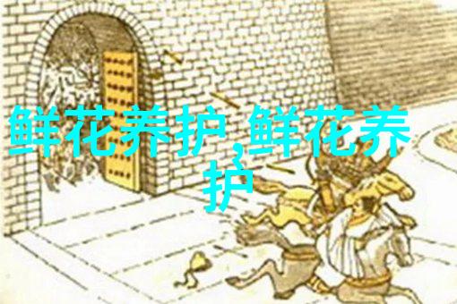 玫瑰