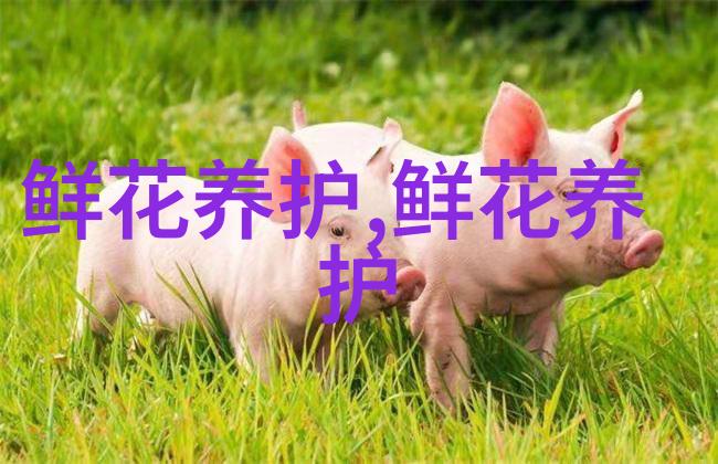 玫瑰
