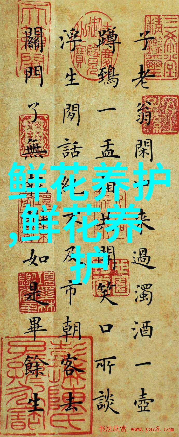 水仙