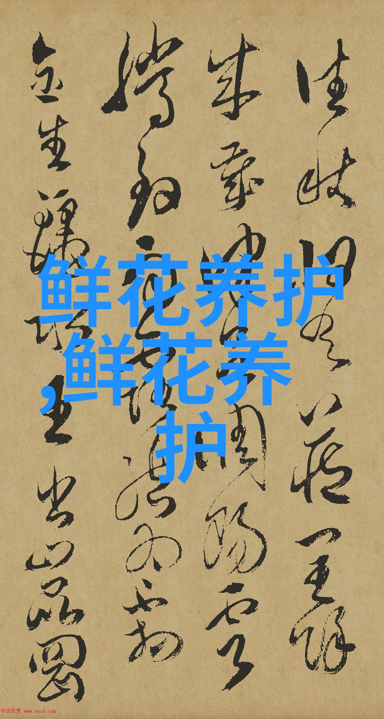 红薯叶