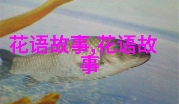 盆栽兰花