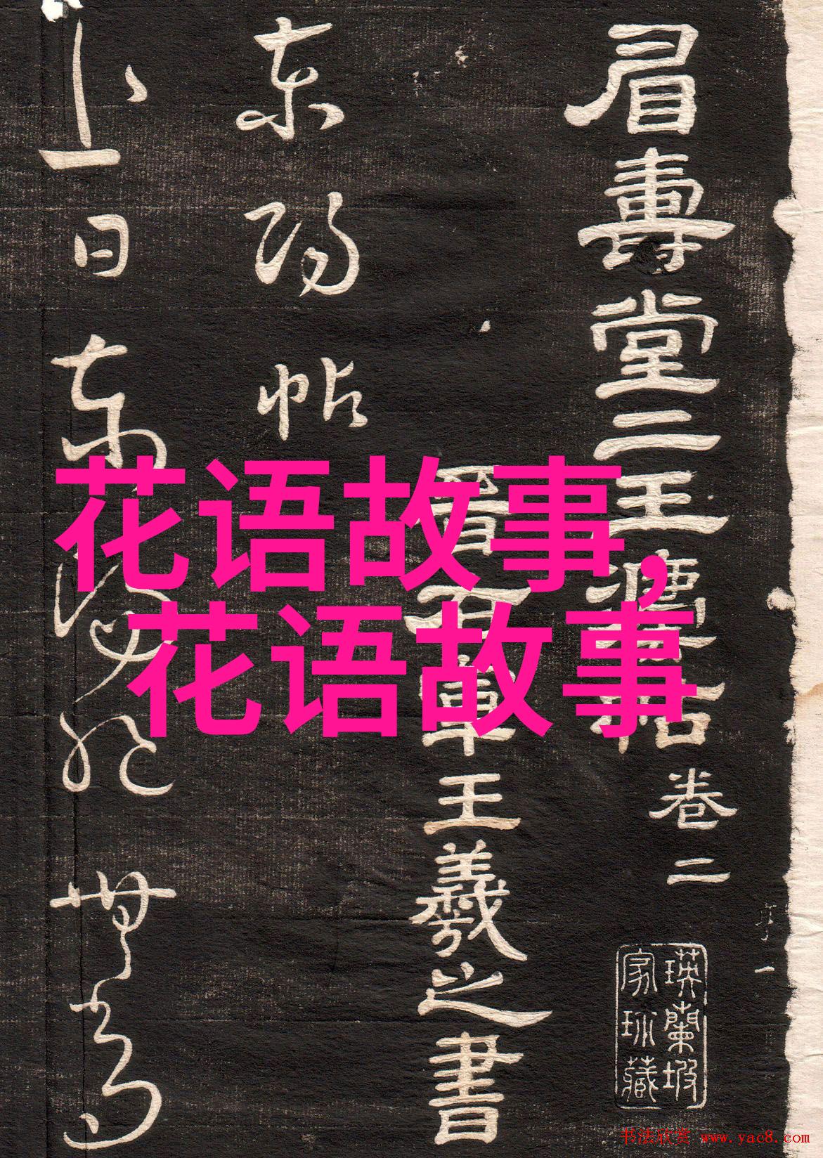 小青龙木槿